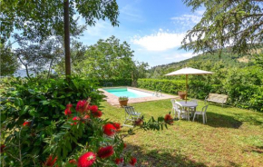 Nice apartment in Cortona with Outdoor swimming pool, WiFi and 2 Bedrooms